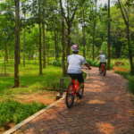 Simlipal Luxury Stay biking experience