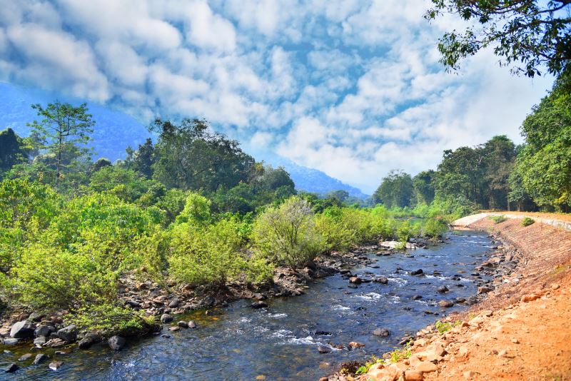 Image result for Simlipal National Park