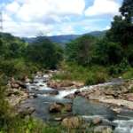 The-river-Rangbang-Riverside Cottage Mirik