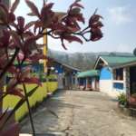 Wild Orchid at Rinchenpong Villa Homestay