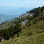 Darjeeling Villa and Happy valley