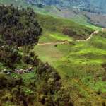 Happy Valley near Darjeeling