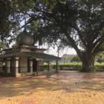 Temple in Jungle Mohal