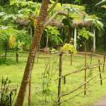 Farm land at Maharaja Uddan Bati Salboni