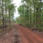 Red mud way to Joypur forest Resort Bankura