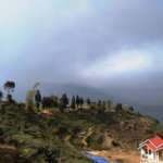 ahaldara