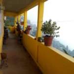 Green Tara Homestay- Flower & Balcony