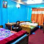 Green Tara Homestay- Room