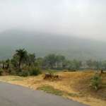 wintry weather- biharinath hills